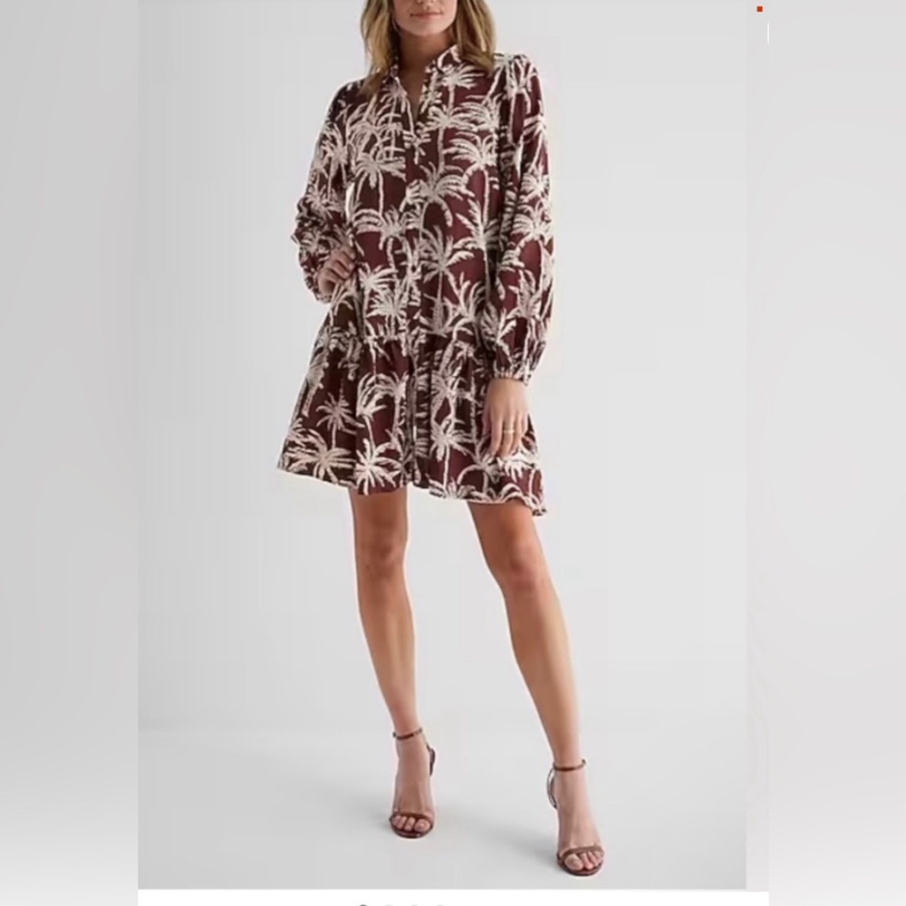 Express Ruffle Hem Long Sleeve Oversized Shirt Dress-Size XS